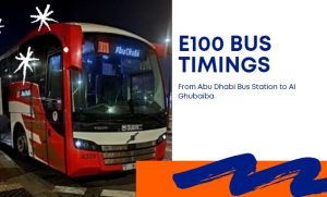 E100 Bus Timings