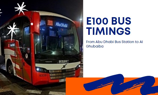 E100 Bus Timings