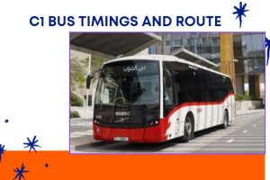 C1 Bus Timings