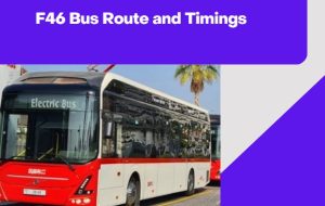 F46 Bus Timings