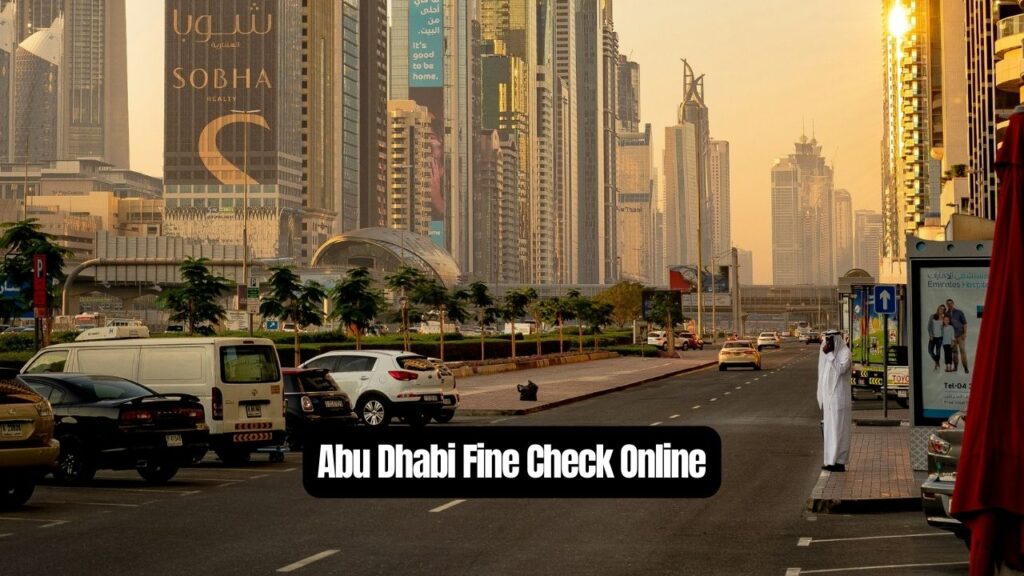 Abu Dhabi Traffic Fine Inquiry 2