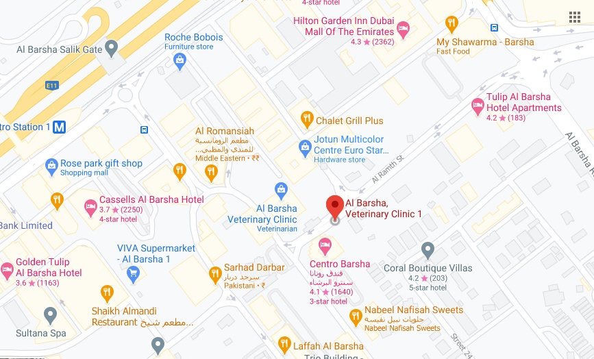 Al Barsha Veterinary Clinic 1 Bus Stop in Dubai Maps