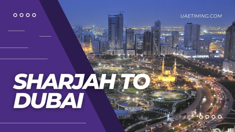 How to Reach Dubai from Sharjah by Bus (Fare and Timings)