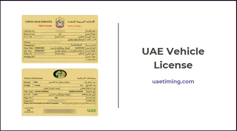 UAE Official vehicle license