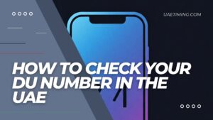 Cover How To Check Your Du Number In The Uae