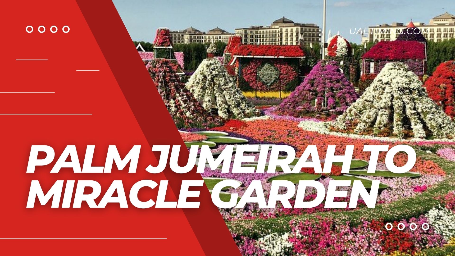 Cover Palm Jumeirah To Miracle Garden​