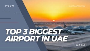 Top 3 Biggest Airport In Uae Cover